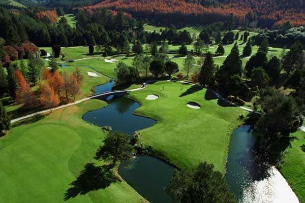 10 Day North Island Golf Package