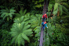 14 Day New Zealand Adventure Holiday Package