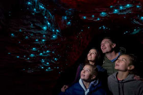 10 Day North Island Caves, Hobbits & Wine Package