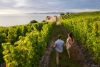 07 Day North Island Wine and Culture Package