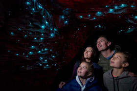 RealNZ Te Anau Glowworm Caves