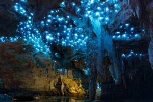 waitomo-caves-new-zealand